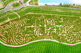 8868体育官方网站-最新体育赛事直播平台