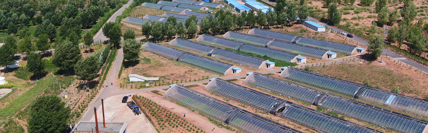 8868体育官方网站-最新体育赛事直播平台