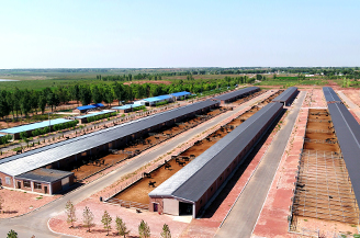 8868体育官方网站-最新体育赛事直播平台